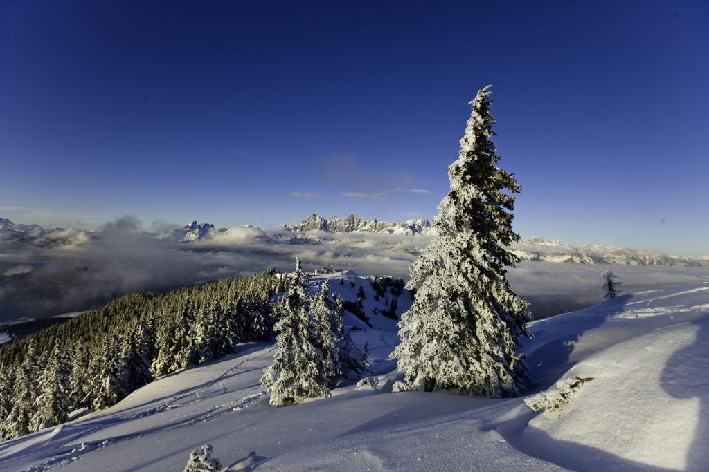 Farm stay Abelhof Schladming