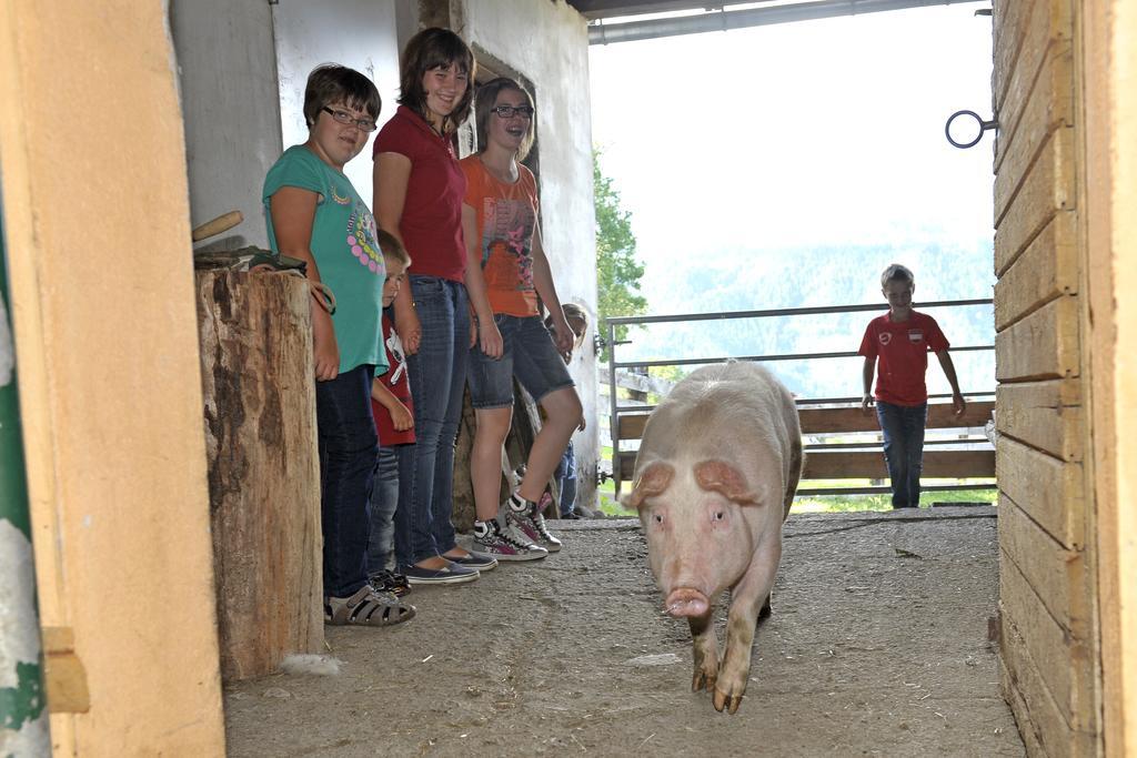Abelhof Farm stay *