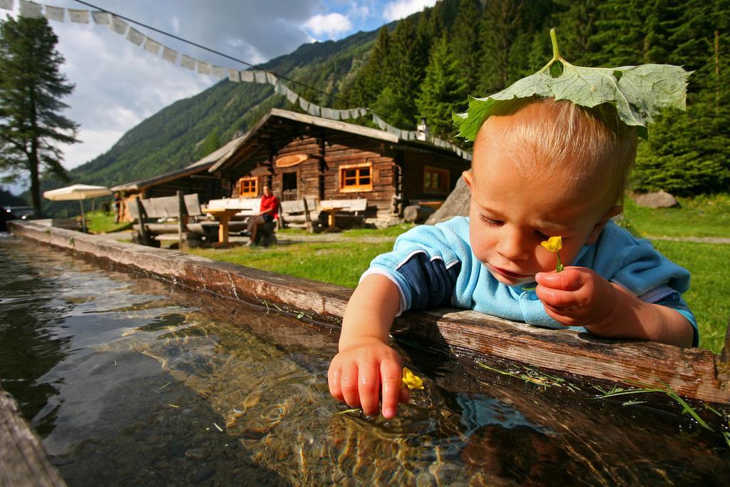 Abelhof Schladming