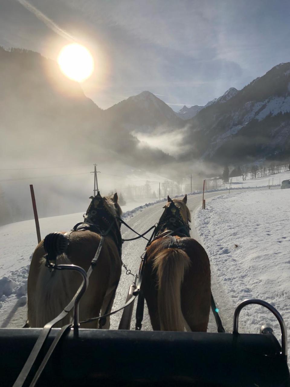 Farm stay Abelhof Schladming